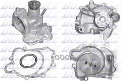 ����� MB W124/210/140/R129 4.2/5.0 91-01 Dolz ���. m242 M242 ����