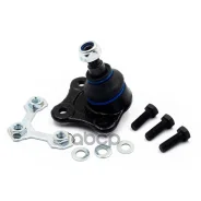 ������� ����� ���. AUDI A3/VW GOLF IV, BORA/Skoda Octavia Delphi ���. TC824 TC824 ����