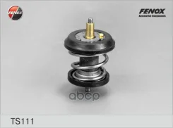��������� 95 �� � �������������� ������� 95 �� VW Golf V VI 1.8-2.0TSI 04-13 Passat 1.8-2.0TSI 0 Fenox ���. ts111 TS111 ����