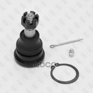 ����� ������� ������ | ����� ����/��� | Fixar ���. FK0208 FK0208 ����
