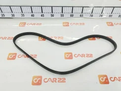 ������ ������������ 4PK1010 H5699PLM004 ����