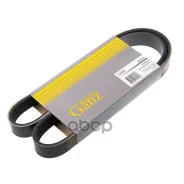 ������ ������������ 6PK1000 Citroen C4, C5/Peugeot 206,307,407 GANZ ���. GIE37027 GIE37027 ����