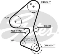 ������ ��� Gates ���. 5598XS 5598XS ����