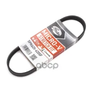 ������ ������������ Gates ���. 5PK628620SF 5PK628620SF ����