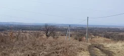 ������ ��������� ������� ��� �������������. 10����., ���, �������������, �������������. ���� ������� ����