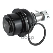����� ������� | ����� | Jikiu ���. JB52008 JB52008 ����