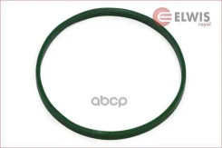 ���������, �������� ��������� Elwis Royal ���. 7056003 7056003 ����