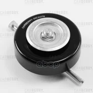 ����� ���������� ��������. ����� Carberry ���. 55CA378 55CA378 ����