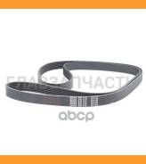   BMW 1 F20/3 F30 /5 F10/X3 F25/Volkswagen GOLF 5/Jetta/Passat/Tiguan 1,4 TSI 06- Bando 6PK1700 6PK1700 