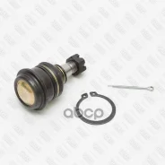 ����� ������� ������ �����/������ Fixar ���. FK0784 FK0784 ����
