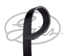 ������ ������������ Gates ���. 7PK1236 7PK1236 ����