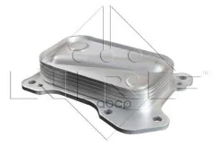 �������� �������� FIAT Grande Punto 1.3D 06- NRF ���. 31204 31204 ����