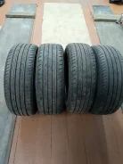 Triangle ProTract Tem11. ������, 2019 ���, �/�, ����� 5 % ����