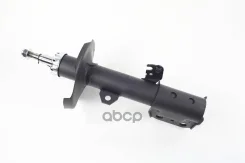 ����������� �������� ZF Russia ���. 317121ZFR 317121ZFR ����