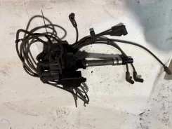 ���������. ����