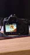 Canon EOS 50D ����