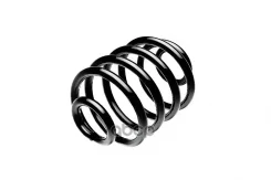 ������� �������� ������ Standard Springs ���. ST127019R ST127019R ����