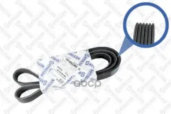 ������ ������������ 6PK2130 ��� MB W203 1.8 99 Stellox ���. 06-02130-SX 0602130SX ����