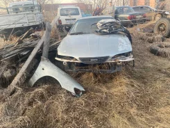 Toyota Carina ED. 202 ����