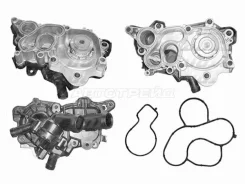 ����� ������� DOLZ A239 A239 ����