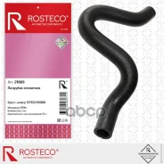 ����� ��������� Rosteco ���. 21869 21869 ����