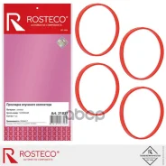 ��������� ��������� ���������� Rosteco ���. 21021 21021 ����