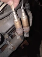 ������ ����������� Nissan Elgrand [22690VG303] 22690VG303 ����