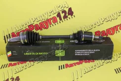 ������ ���� ����� (��� ��� ��� 21807) ����� (AR843) (Trialli) AR843 ����