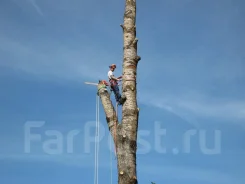 ���� �������� � �����, ������� ������������� ����������, ����������� ����