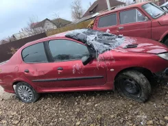 Peugeot 206 ����
