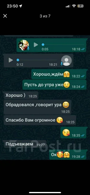 ����. ����