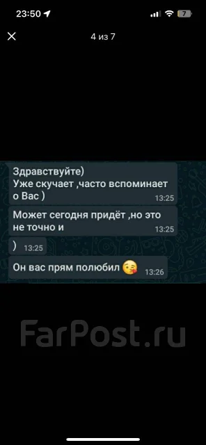 ����. ����