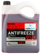 �������� ������� ������� 5� ReinWell 3208 ����