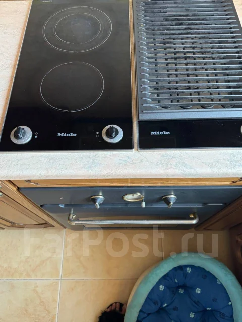 �����. ����