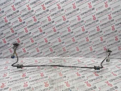 ������������ Toyota Probox, NCP55, ������ 4881252070 ����