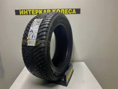 ZMax Winternova Stud II