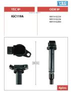   YEC IGC119A IGC119A 