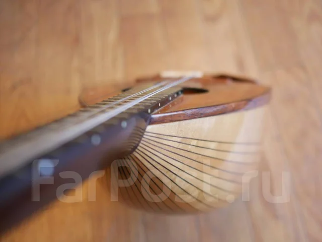 ���������. ����
