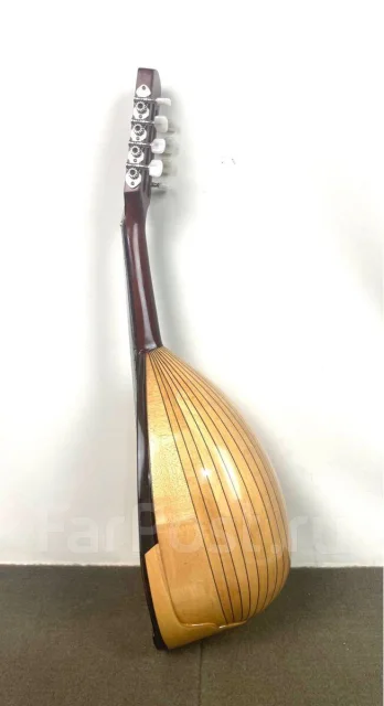 ���������. ����