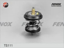 ��������� (+95�C) � �������������� ������� Fenox TS111 TS111 ����