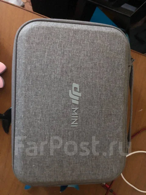 DJI Mini SE. � ������� ����