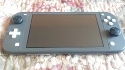 Nintendo Switch Lite ����
