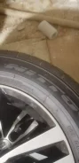 Nitto. ������, 2022 ���, ����� ����