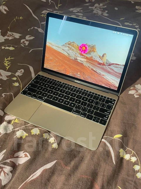 Apple MacBook 12 2016 Early. 12", 1,1����, ��� 8 ��, ���� 256���, WiFi: 1, Bluetooth: 1, ����������� �� 6��. ����