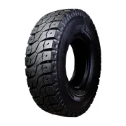 Advance R-1S