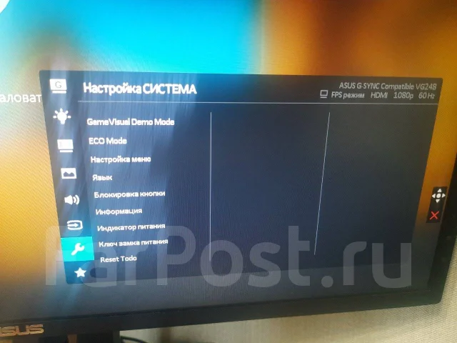 Asus. 24", ���������� OLED ����