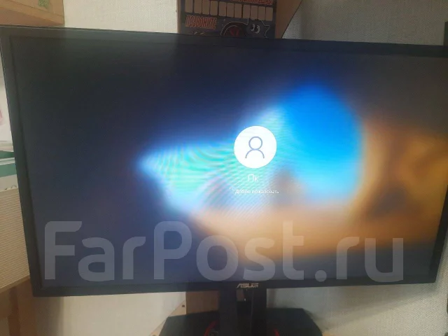 Asus. 24", ���������� OLED ����