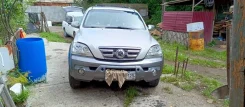 Kia Sorento ����