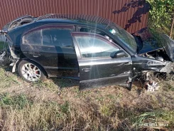 Skoda Octavia ����