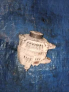 ��������� Mitsubishi MD343416 H76W MD343416 ����